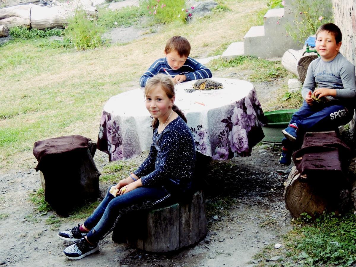 Nino Khetaguri Guest House Kazbegi Ngoại thất bức ảnh