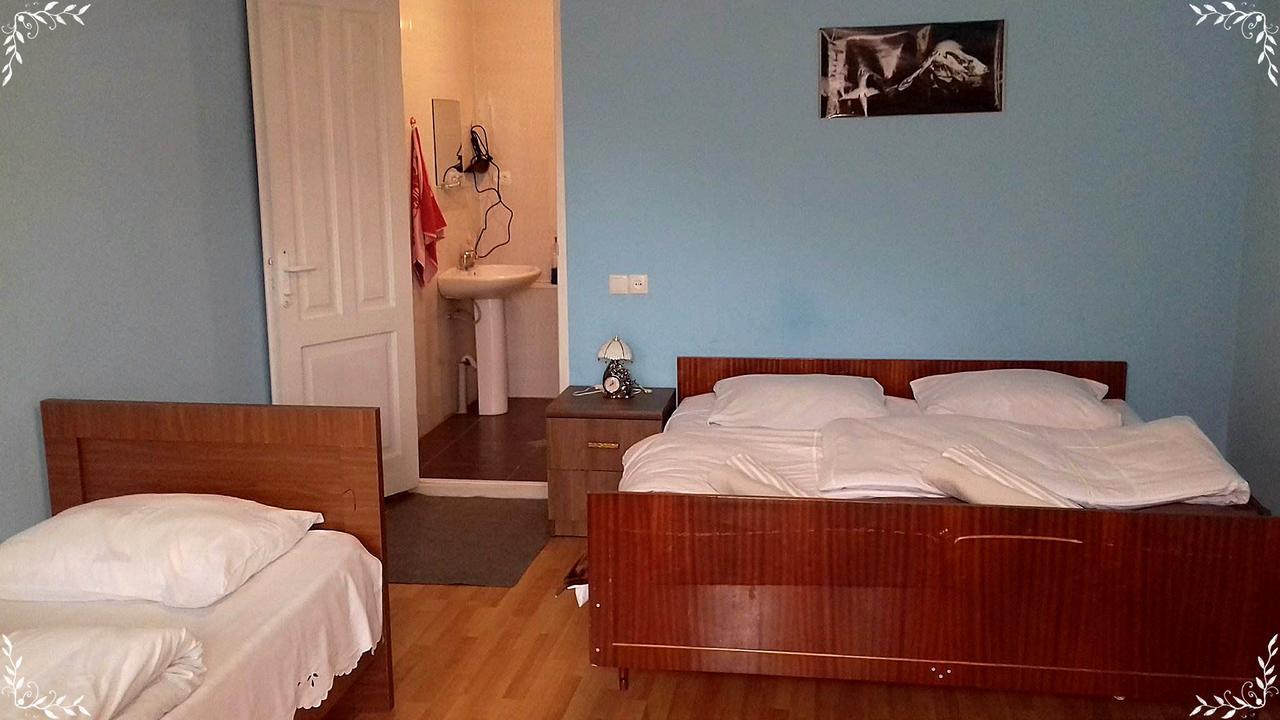 Nino Khetaguri Guest House Kazbegi Ngoại thất bức ảnh