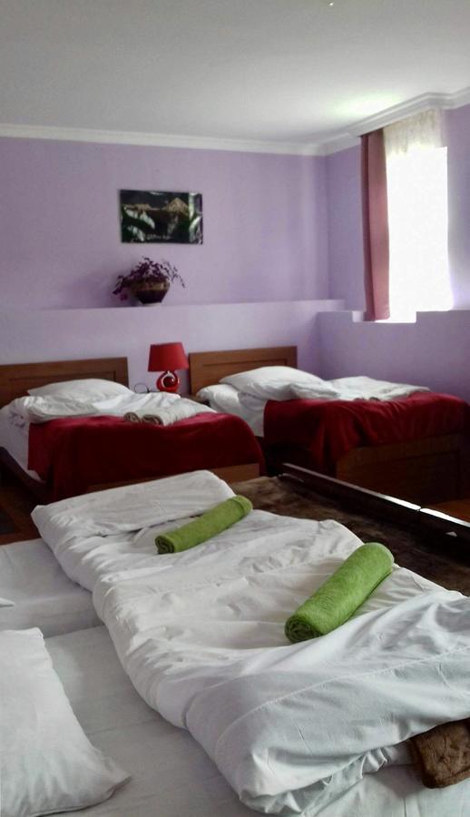 Nino Khetaguri Guest House Kazbegi Ngoại thất bức ảnh