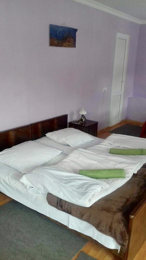 Nino Khetaguri Guest House Kazbegi Ngoại thất bức ảnh