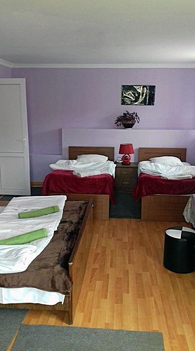 Nino Khetaguri Guest House Kazbegi Ngoại thất bức ảnh